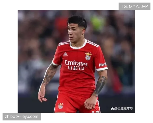 恩佐:新星到核心中场的成长路径与荣誉解析 恩佐:新星到核心中场的成长路径与荣誉解析