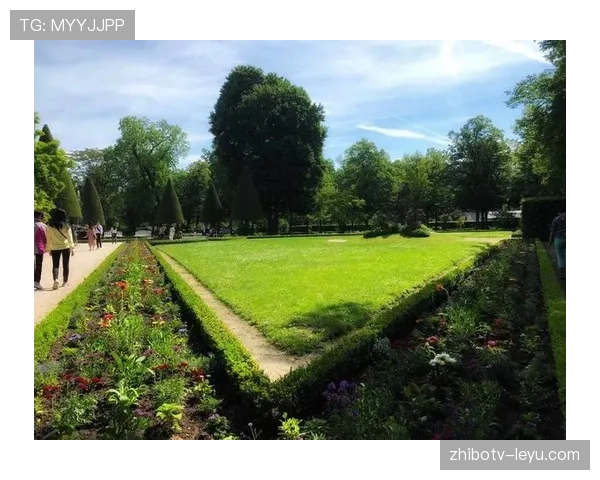 维尔茨盘带风格解析